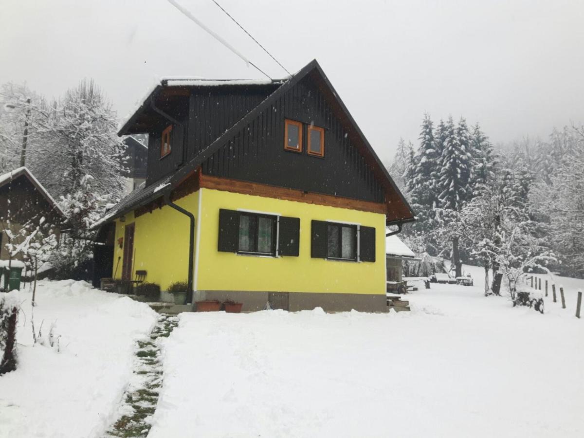 Kuca Za Odmor Forest Dream U Blizini Rijeke Kupe Plesce Dış mekan fotoğraf