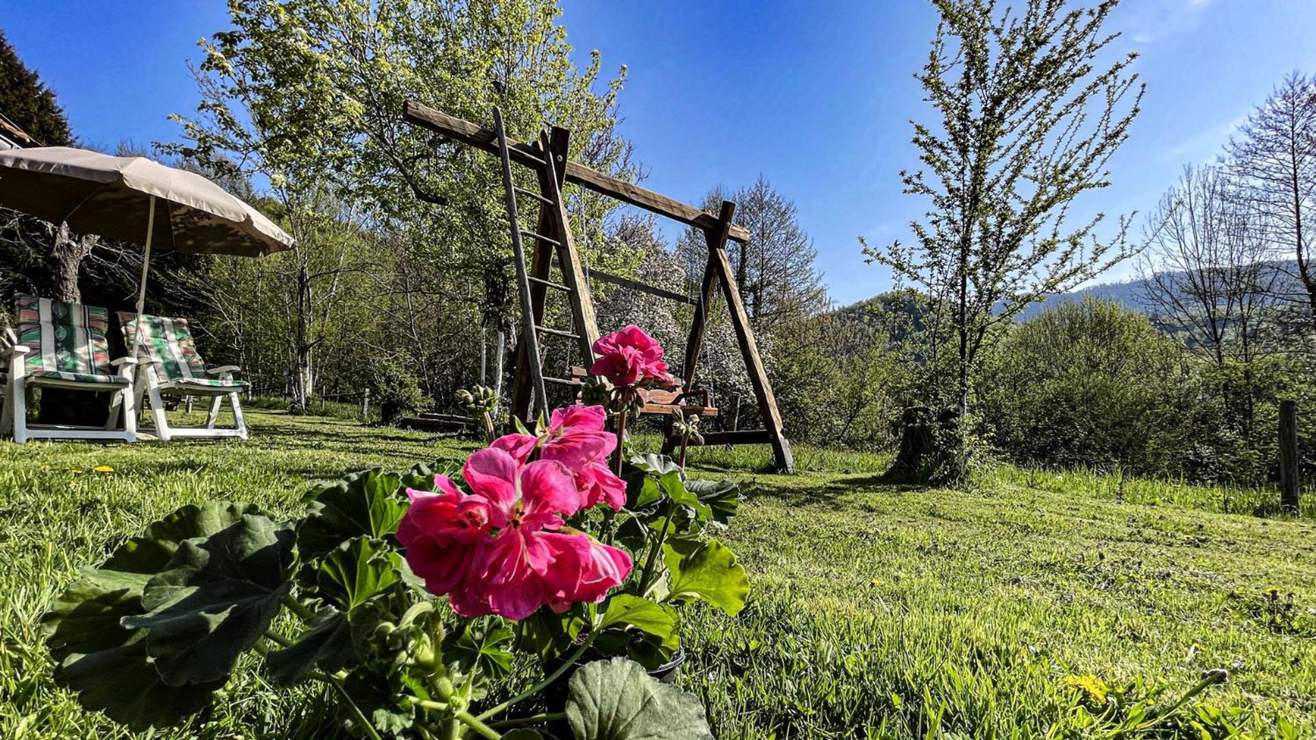 Kuca Za Odmor Forest Dream U Blizini Rijeke Kupe Plesce Dış mekan fotoğraf